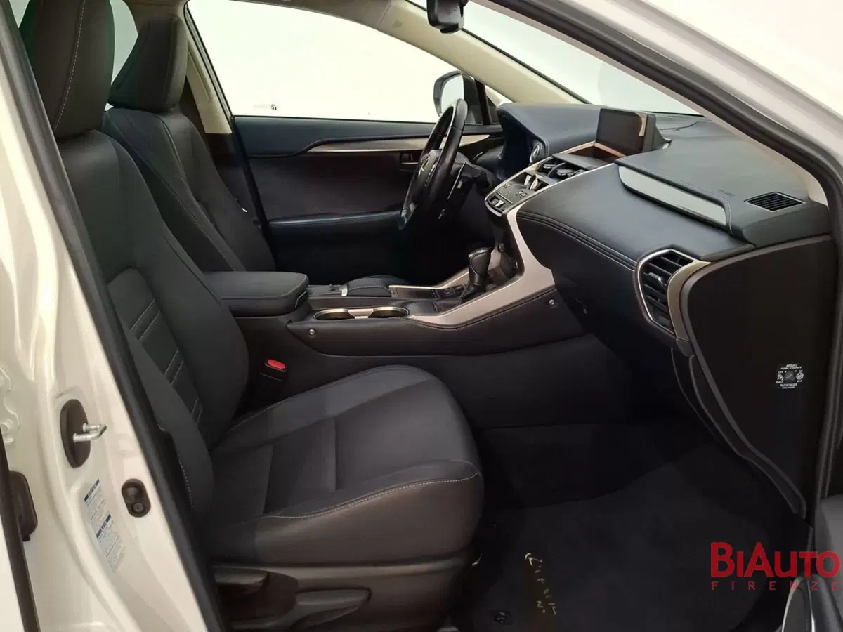 Lexus NX usata a Firenze (19)
