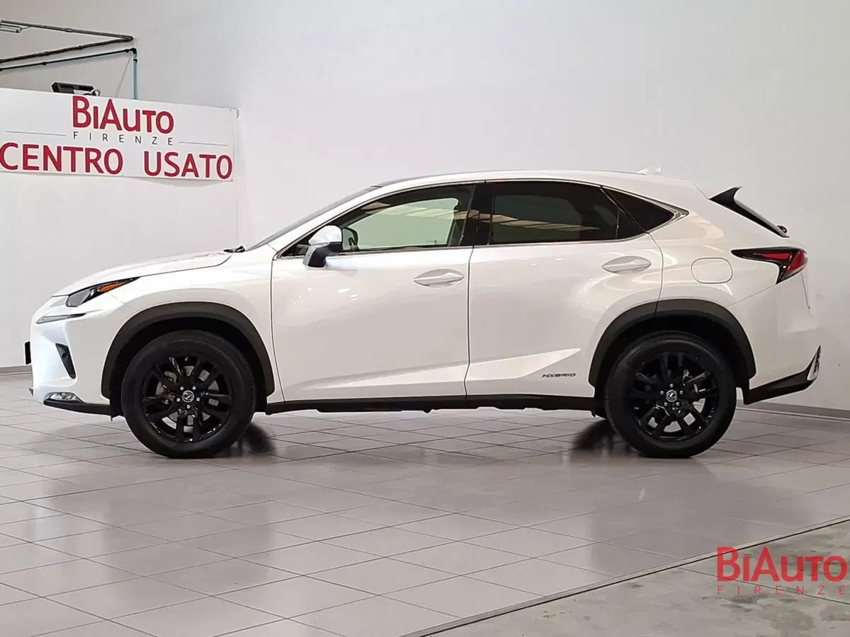 Lexus NX usata a Firenze (3)