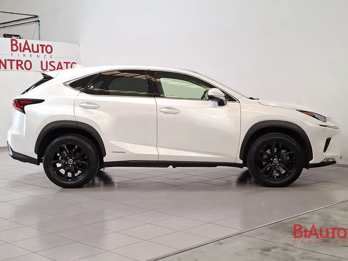 Lexus NX usata a Firenze (4)