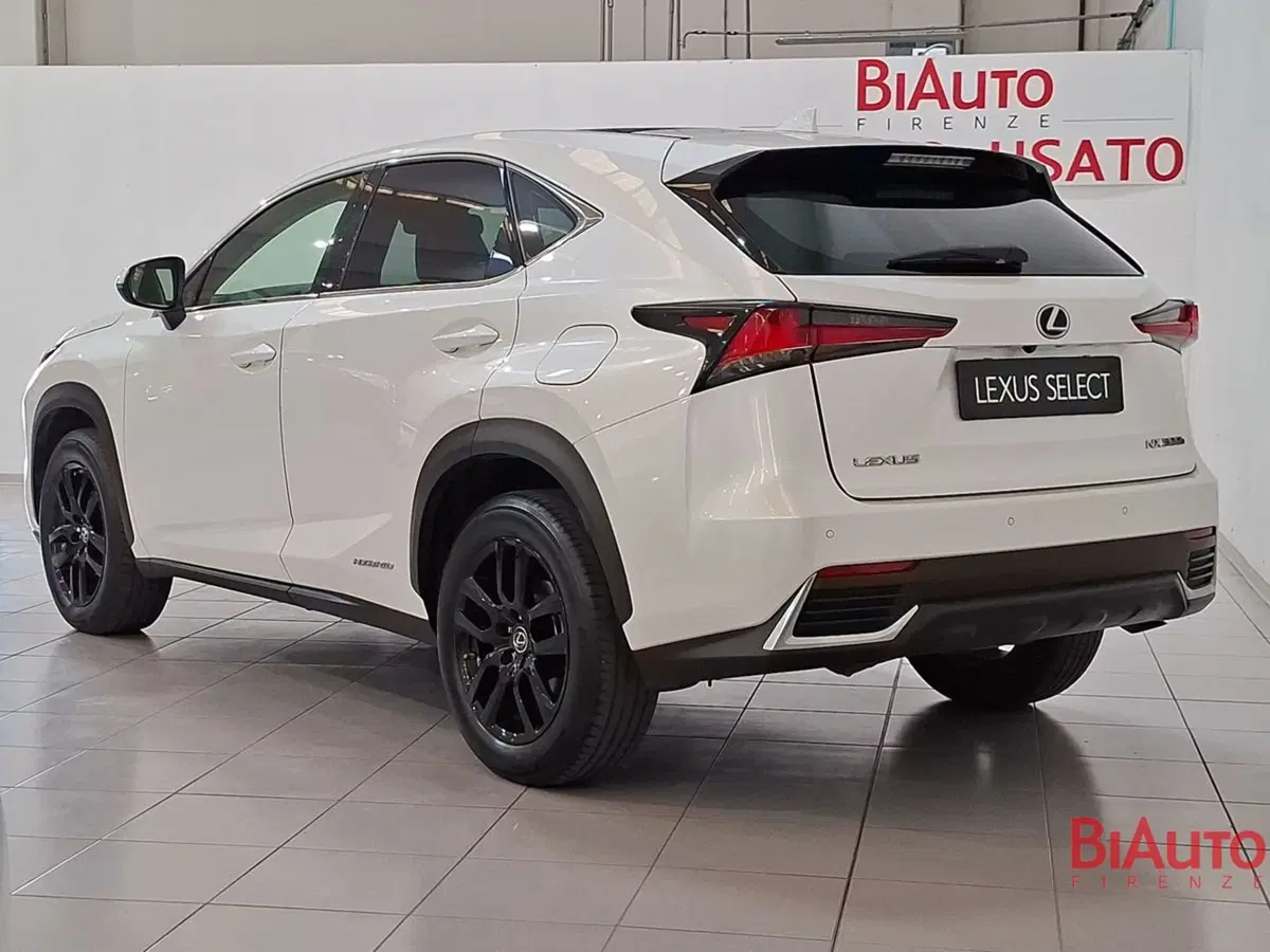 Lexus NX usata a Firenze (5)