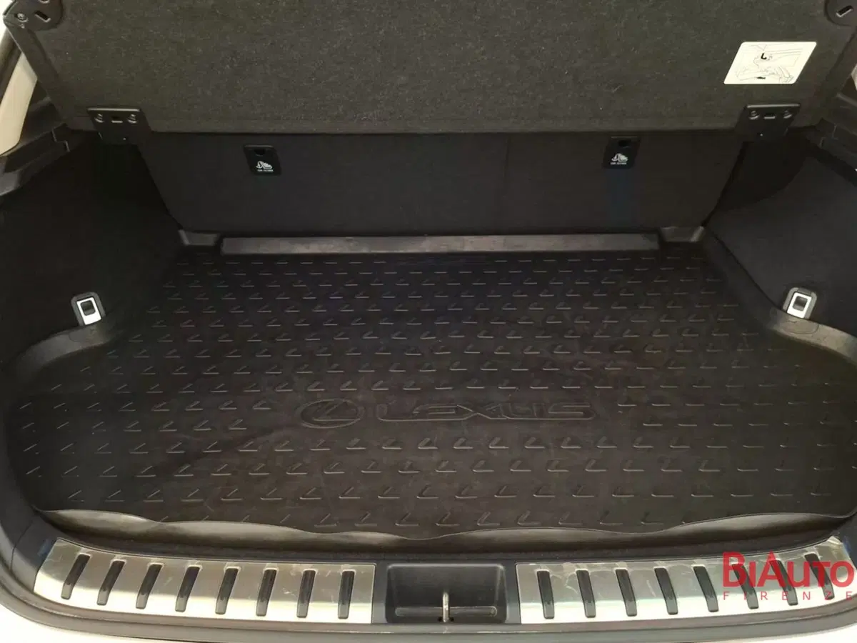 Lexus NX usata a Firenze (6)