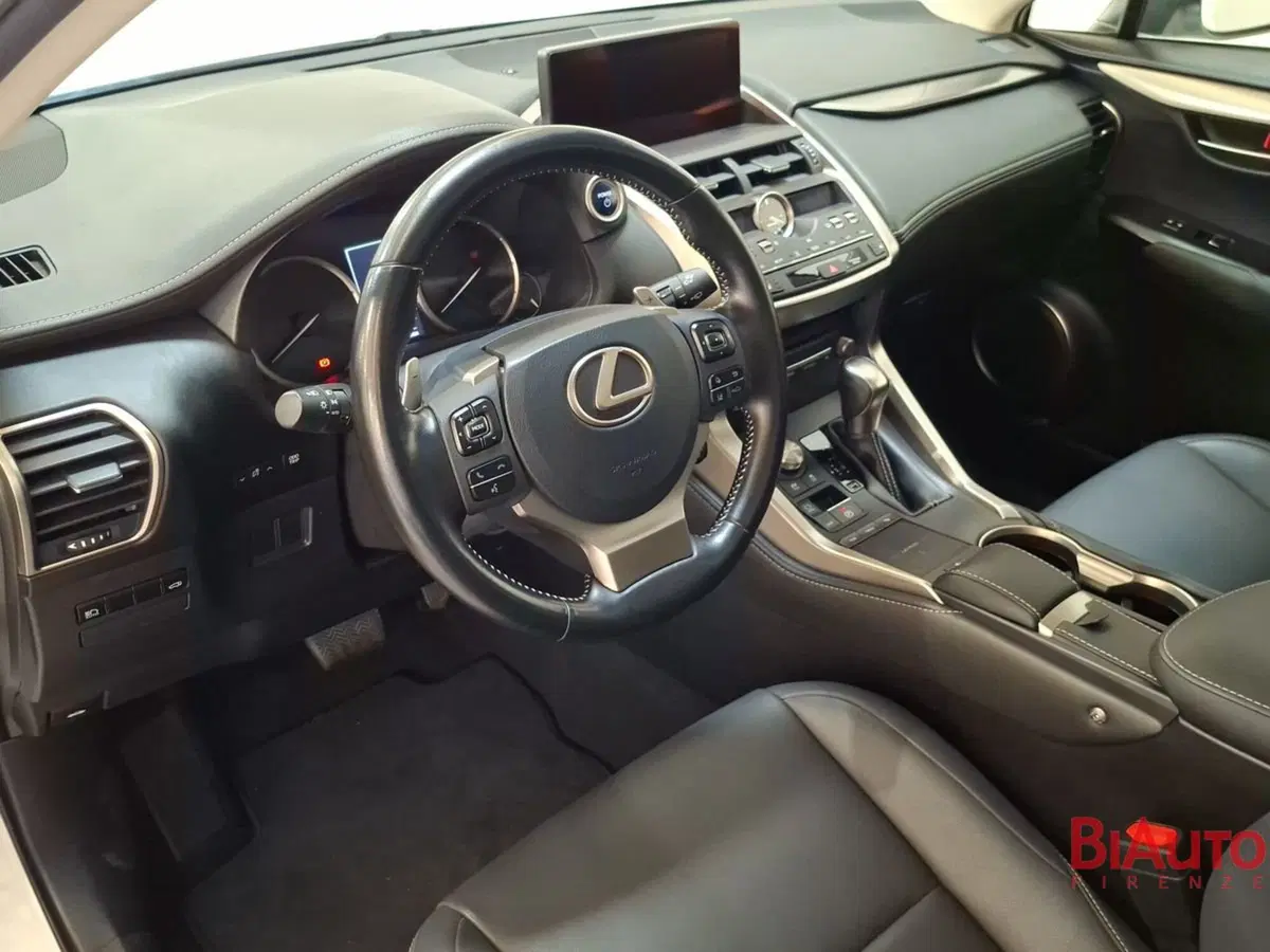 Lexus NX usata a Firenze (7)