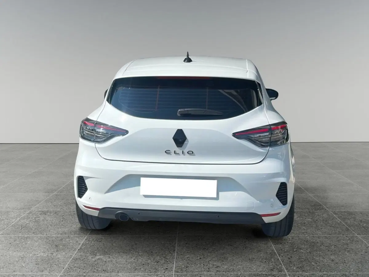 Renault Clio usata a Roma (4)
