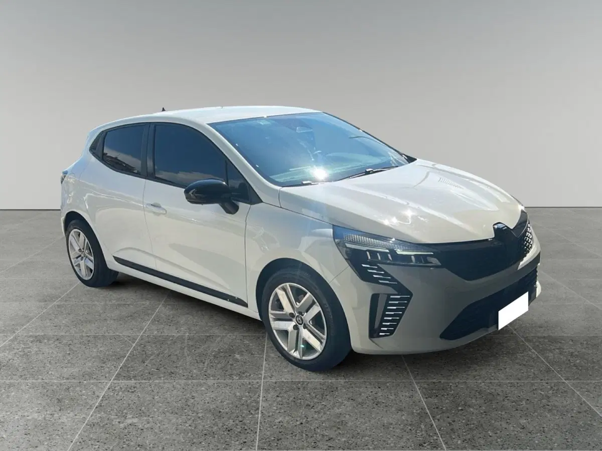 Renault Clio usata a Roma (8)