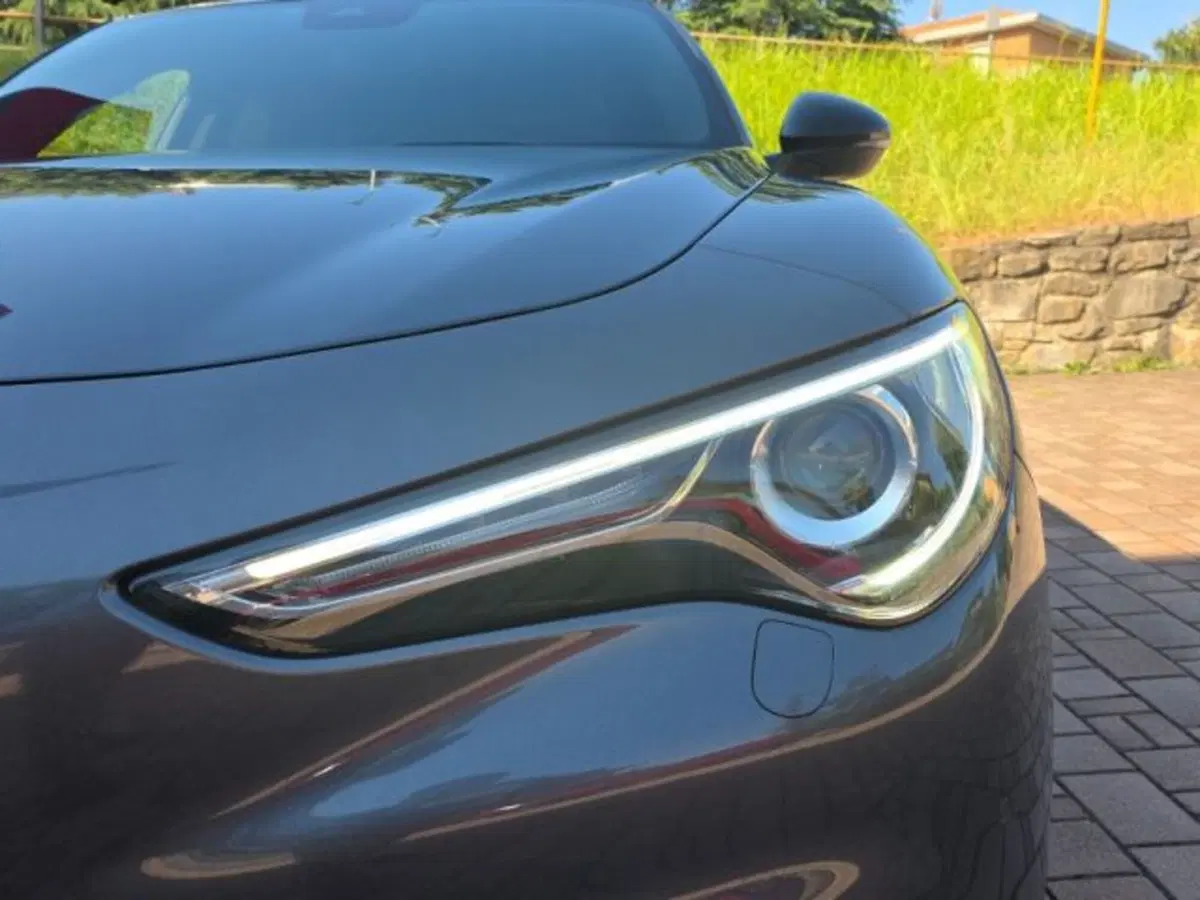 Alfa Romeo Stelvio usata a Monza e Brianza (14)