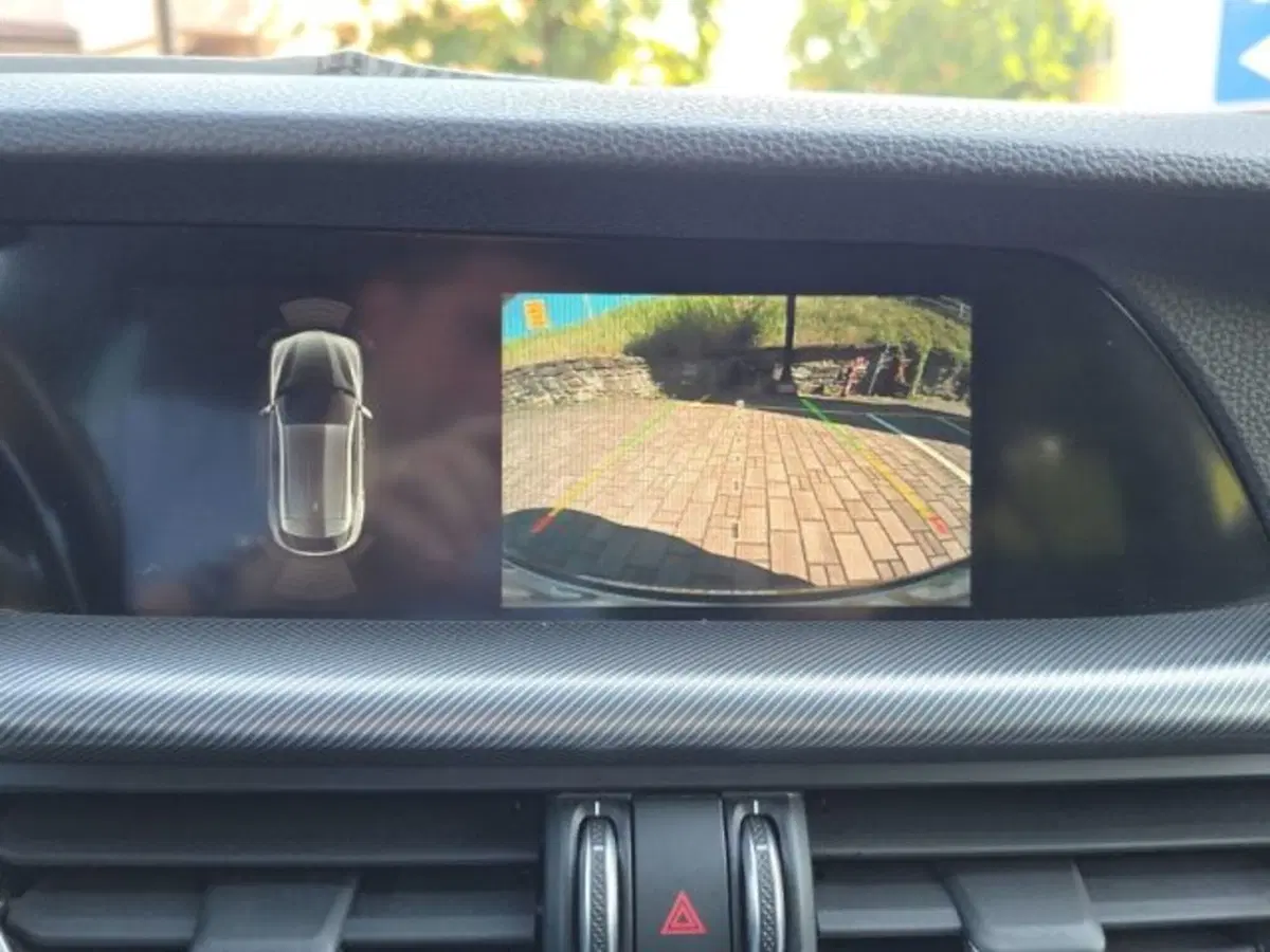 Alfa Romeo Stelvio usata a Monza e Brianza (17)