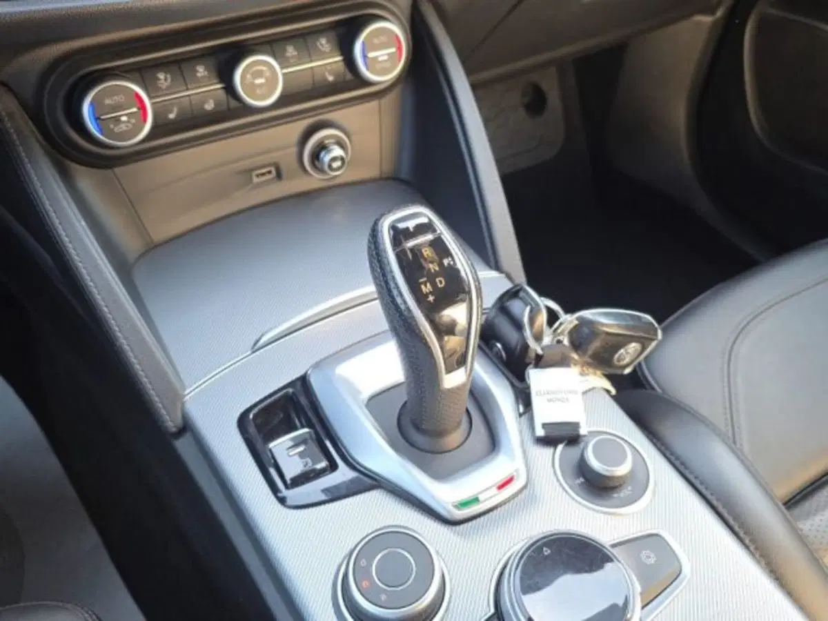 Alfa Romeo Stelvio usata a Monza e Brianza (18)