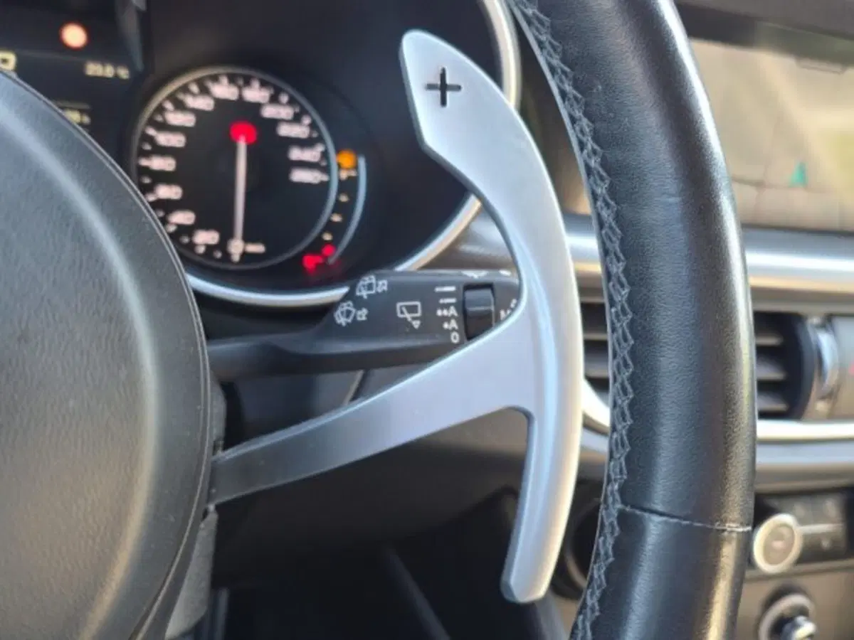 Alfa Romeo Stelvio usata a Monza e Brianza (19)