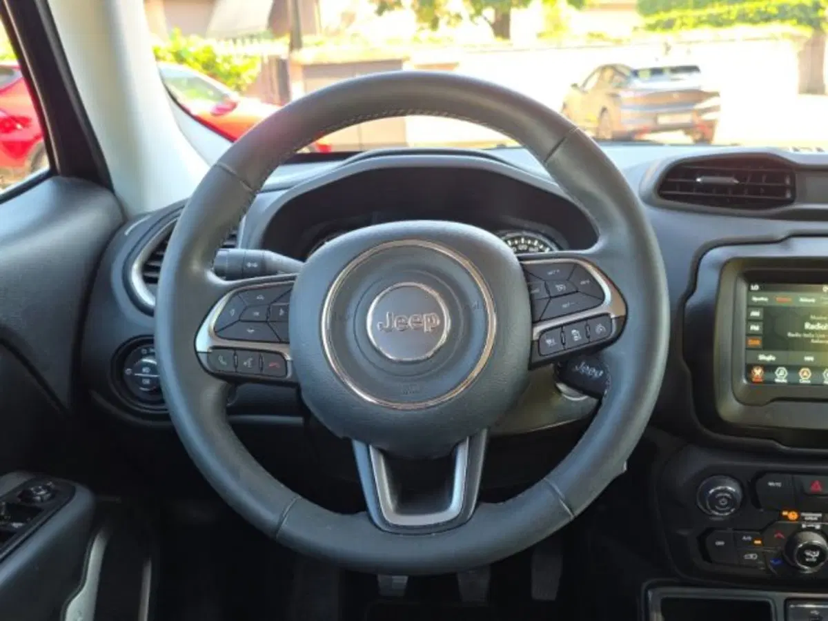 Jeep Renegade usata a Monza e Brianza (13)
