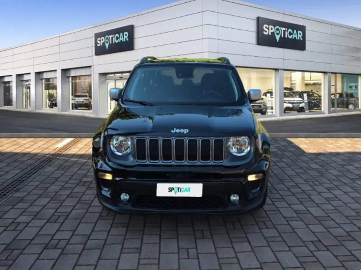 Jeep Renegade usata a Monza e Brianza (2)