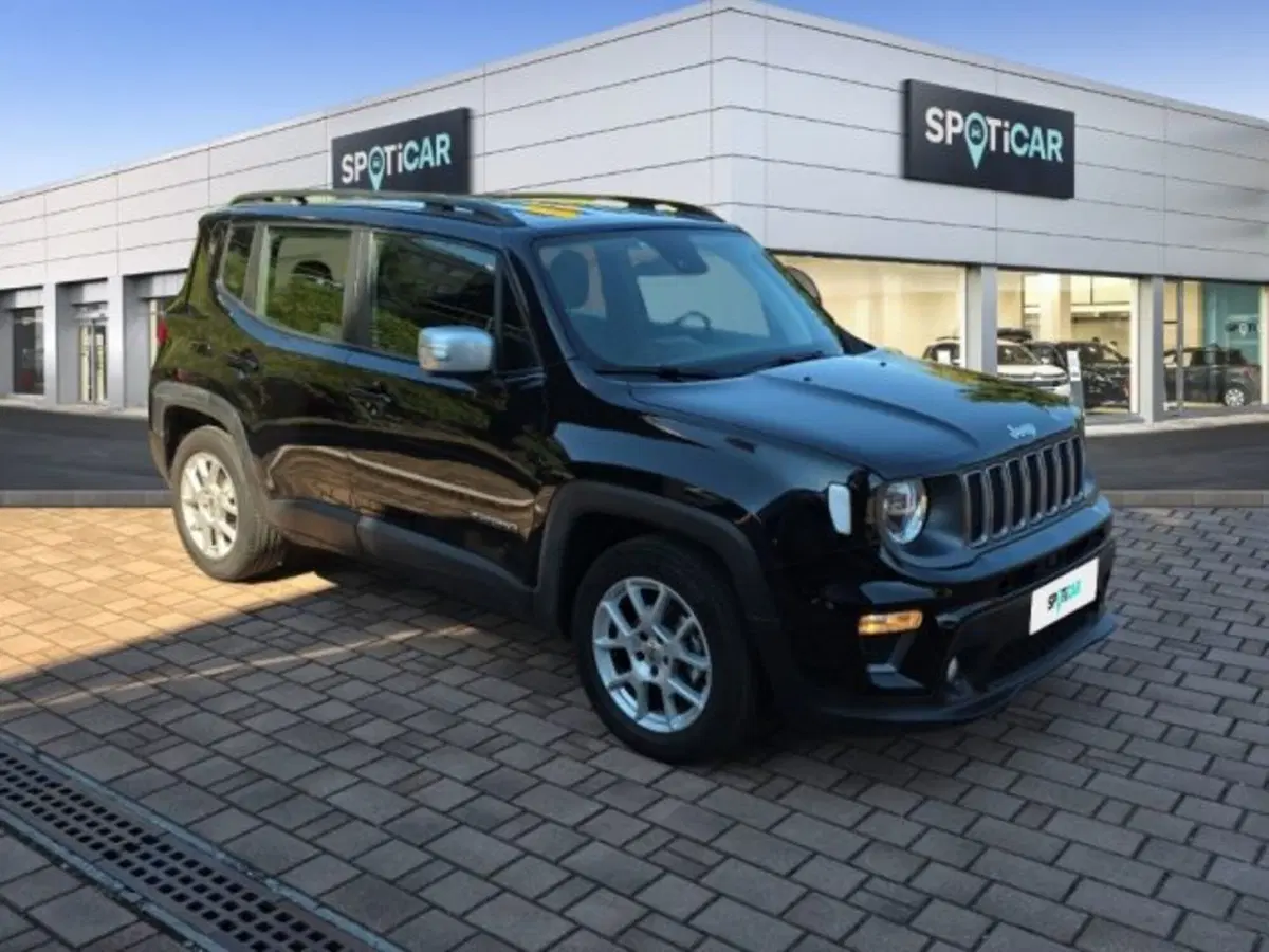 Jeep Renegade usata a Monza e Brianza (3)