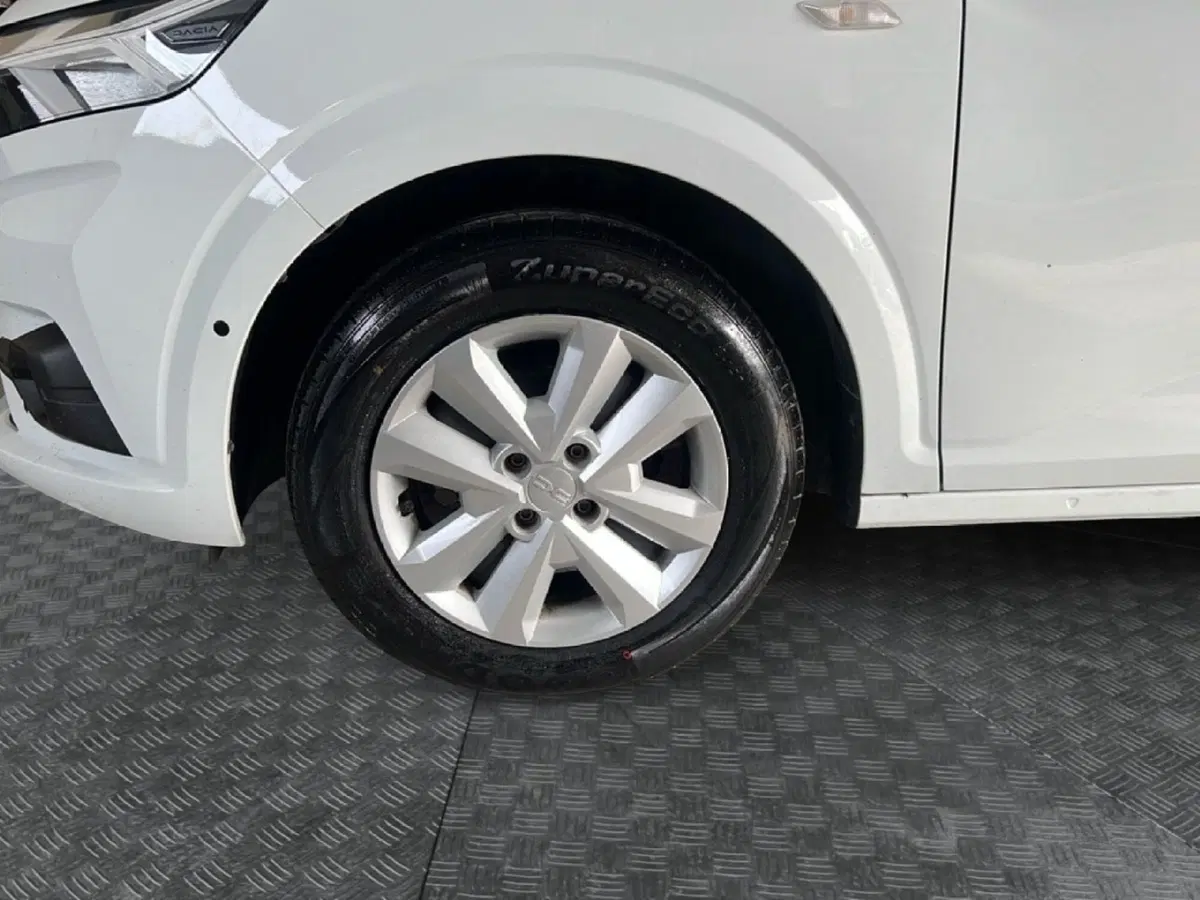 Dacia Sandero Streetway usata a Roma (9)