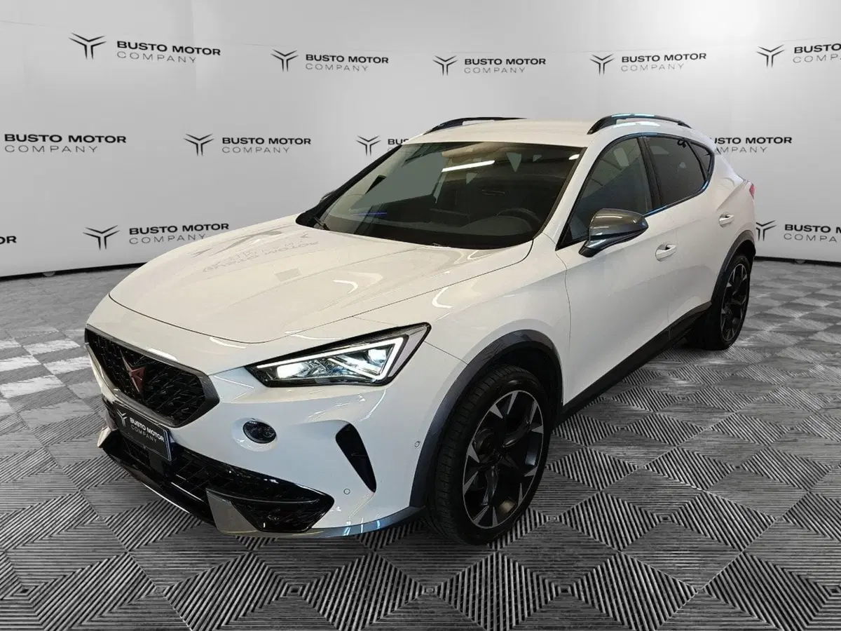 Cupra Formentor usata a Varese (3)