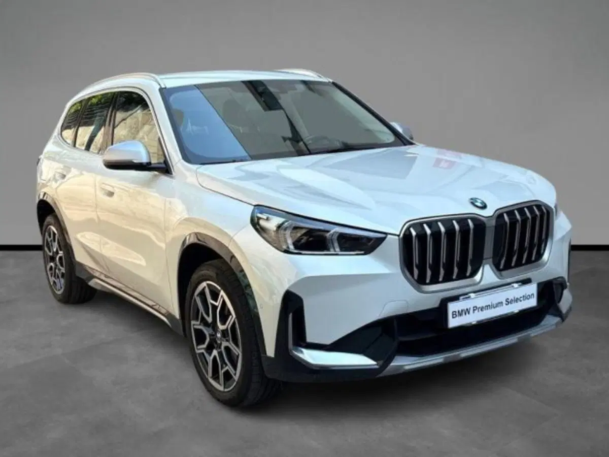 BMW X1 usata a Verona (16)