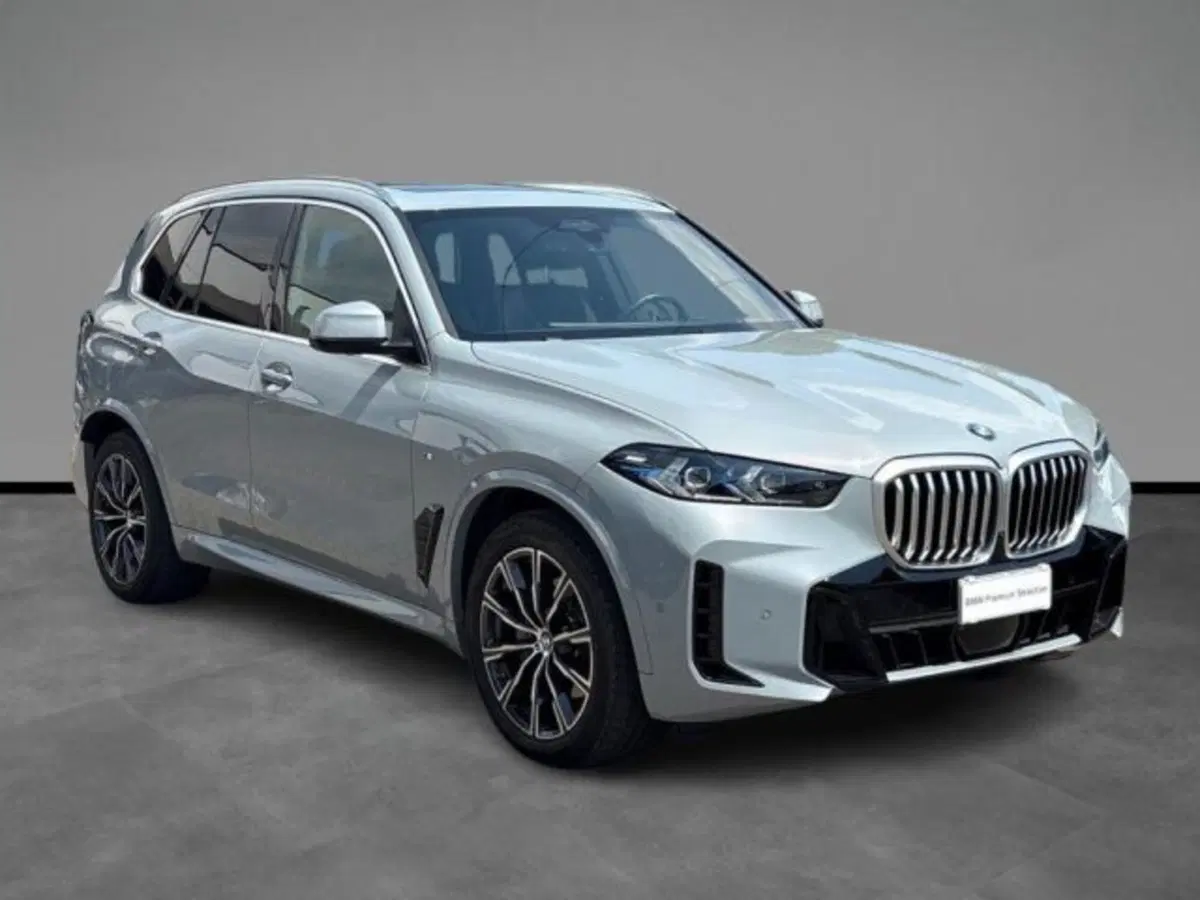 BMW X5 usata a Verona (18)