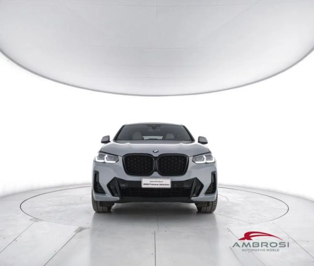 BMW X4 usata a Perugia (5)