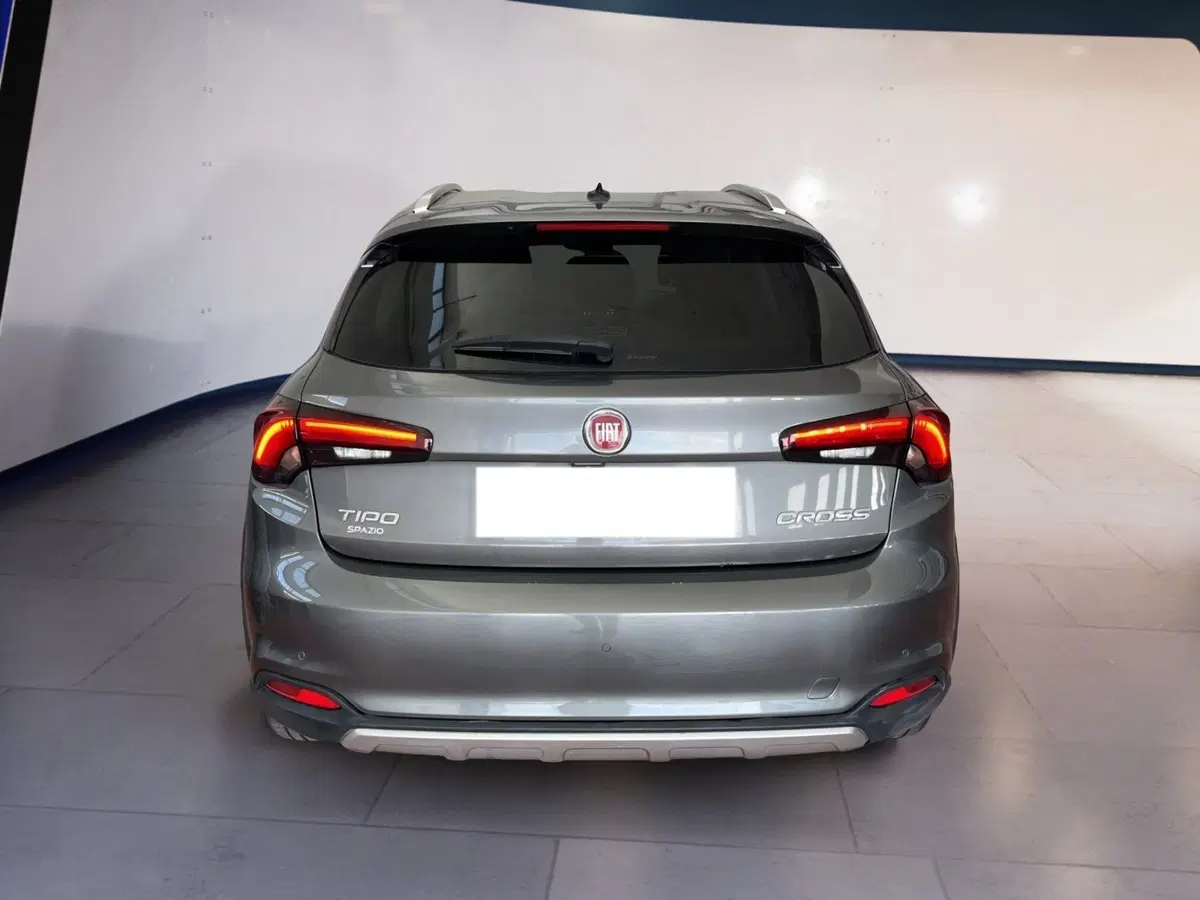 Fiat Tipo usata a Torino (5)