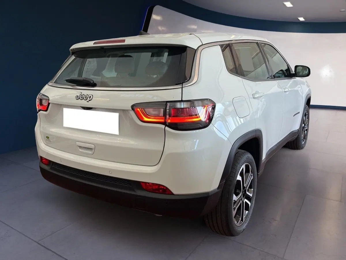 Jeep Compass usata a Torino (6)