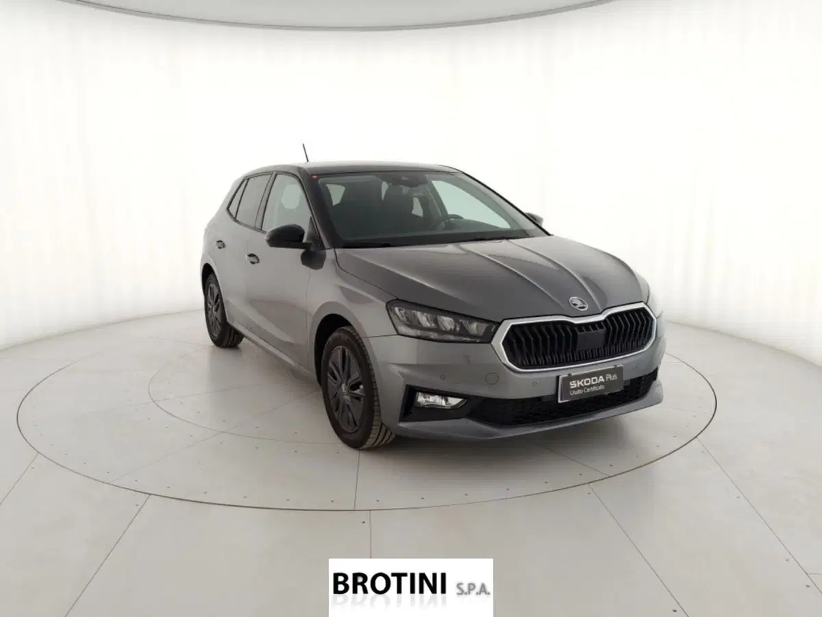 Skoda Fabia usata a Massa-Carrara (4)