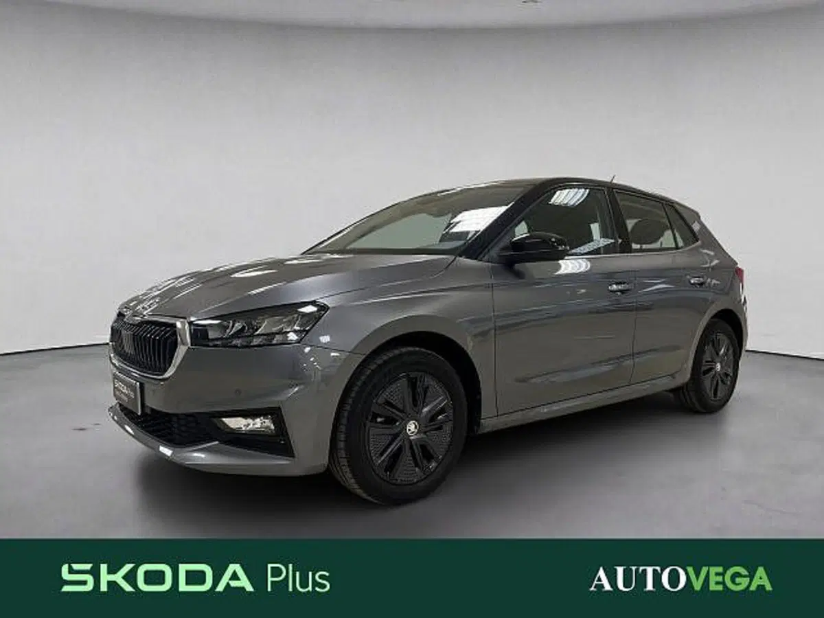 Skoda Fabia usata a Vicenza