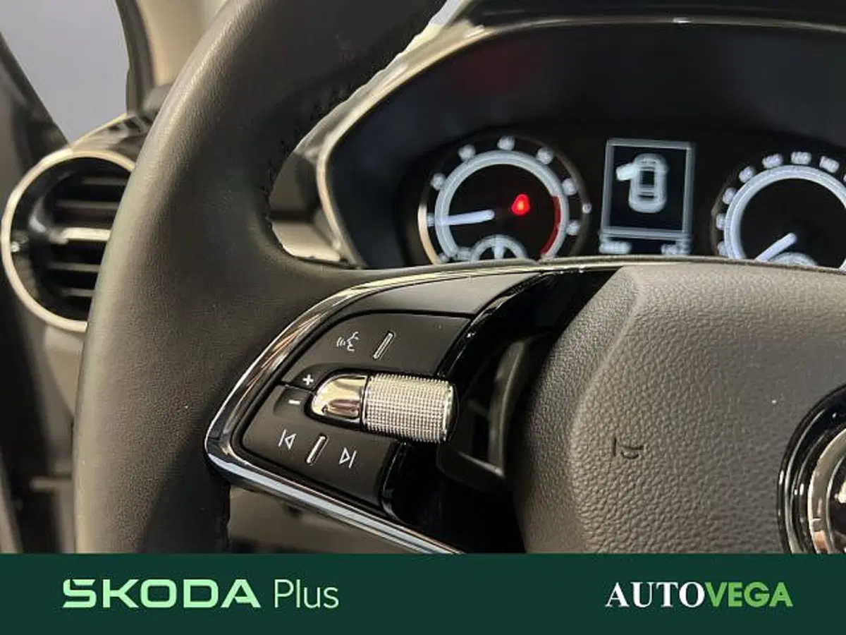 Skoda Fabia usata a Vicenza (16)