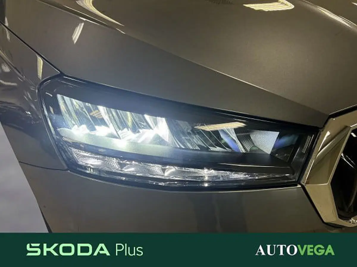 Skoda Fabia usata a Vicenza (19)