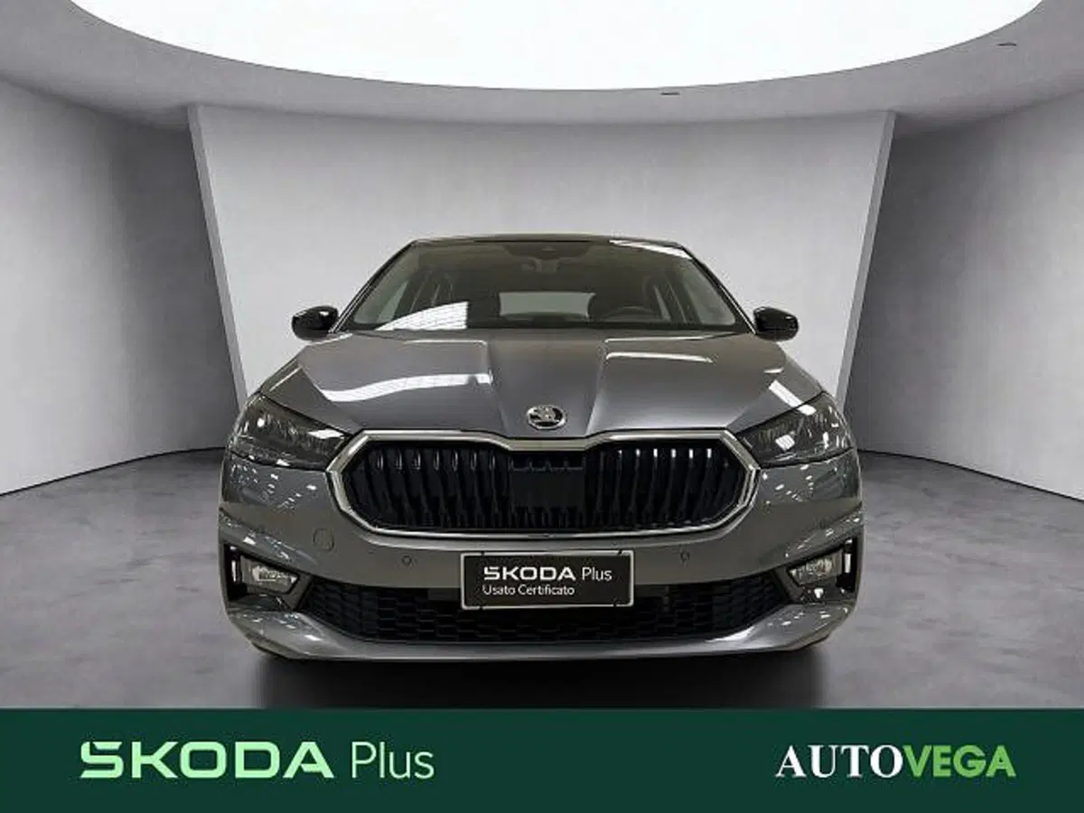 Skoda Fabia usata a Vicenza (2)