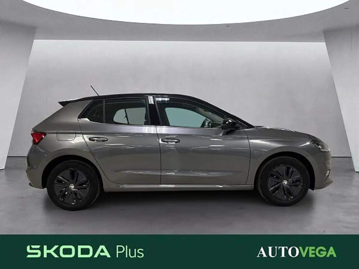 Skoda Fabia usata a Vicenza (3)