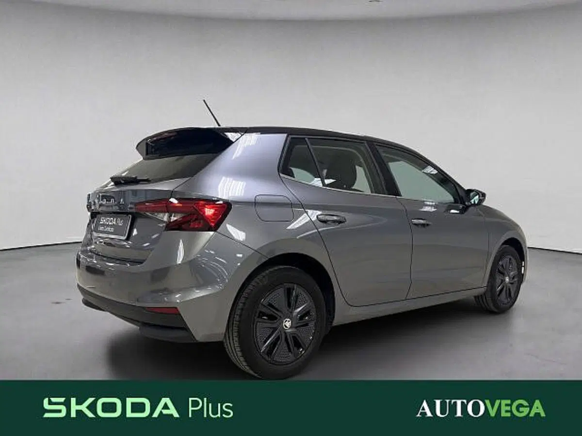 Skoda Fabia usata a Vicenza (4)