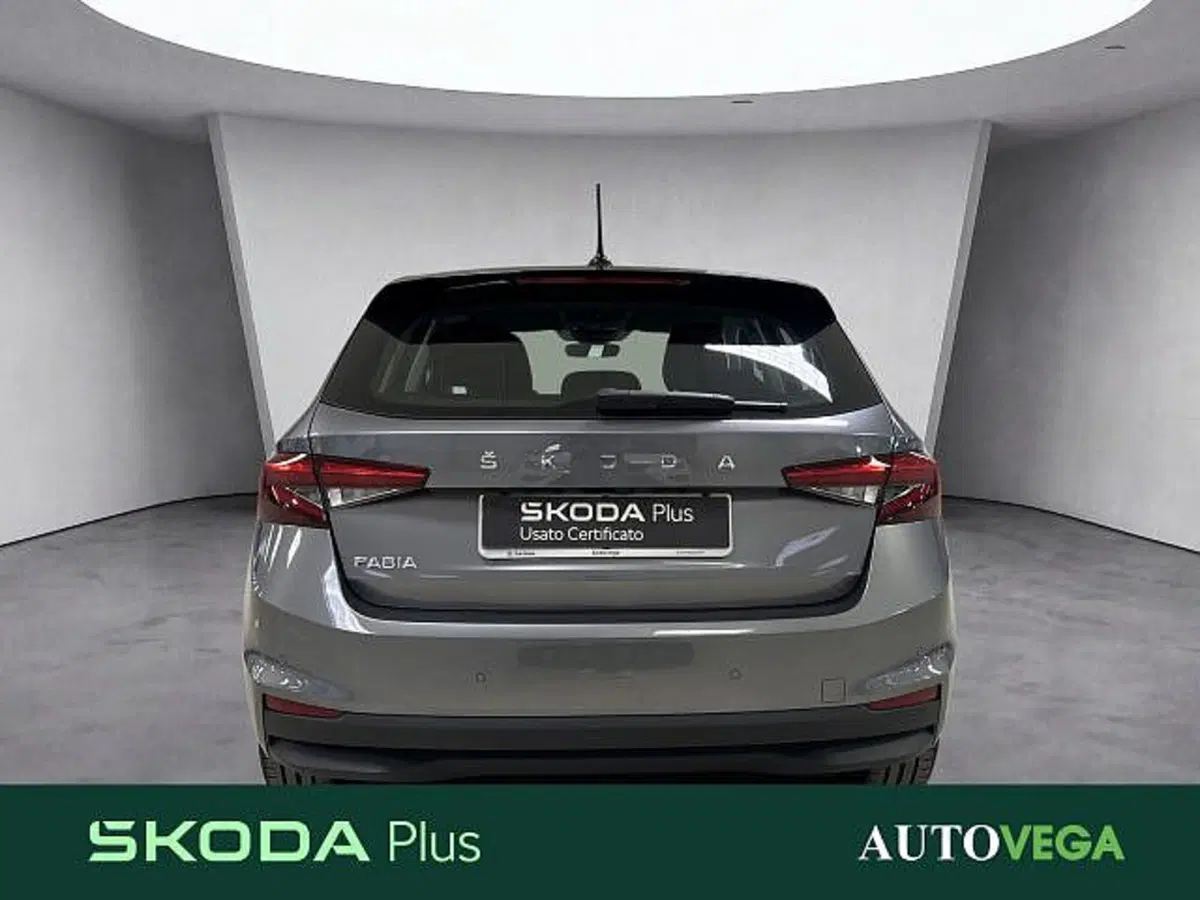 Skoda Fabia usata a Vicenza (5)