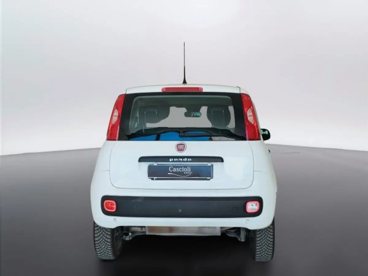 Fiat Panda usata a Teramo (6)