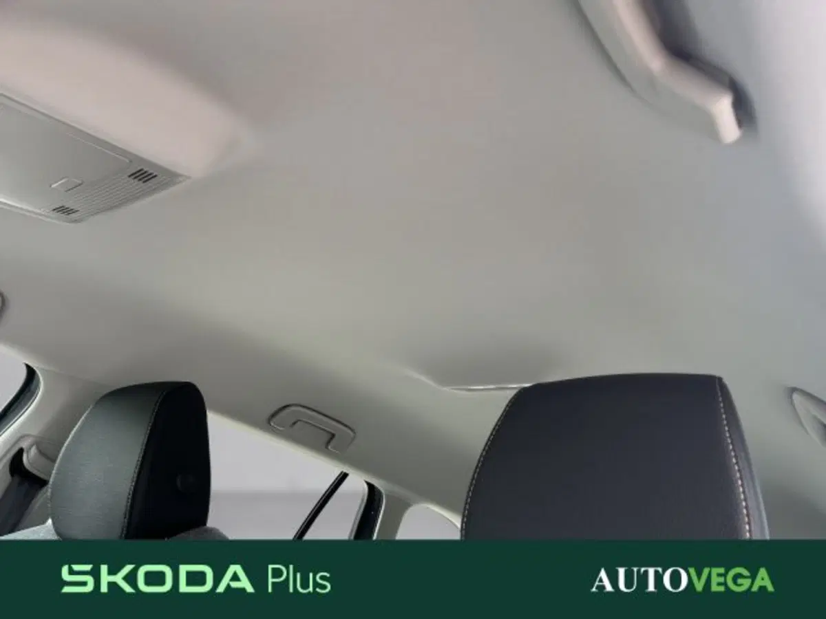 Skoda Octavia Station Wagon usata a Vicenza (16)
