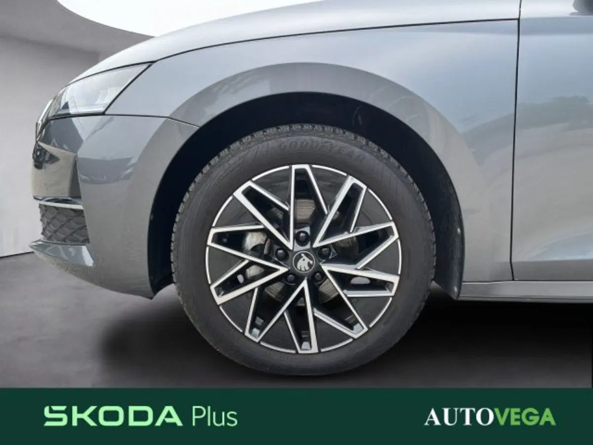 Skoda Octavia Station Wagon usata a Vicenza (18)