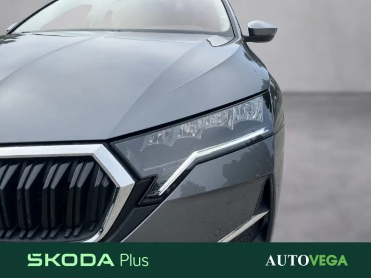 Skoda Octavia Station Wagon usata a Vicenza (19)