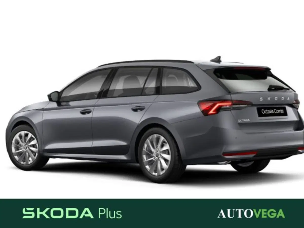 Skoda Octavia Station Wagon usata a Vicenza (3)