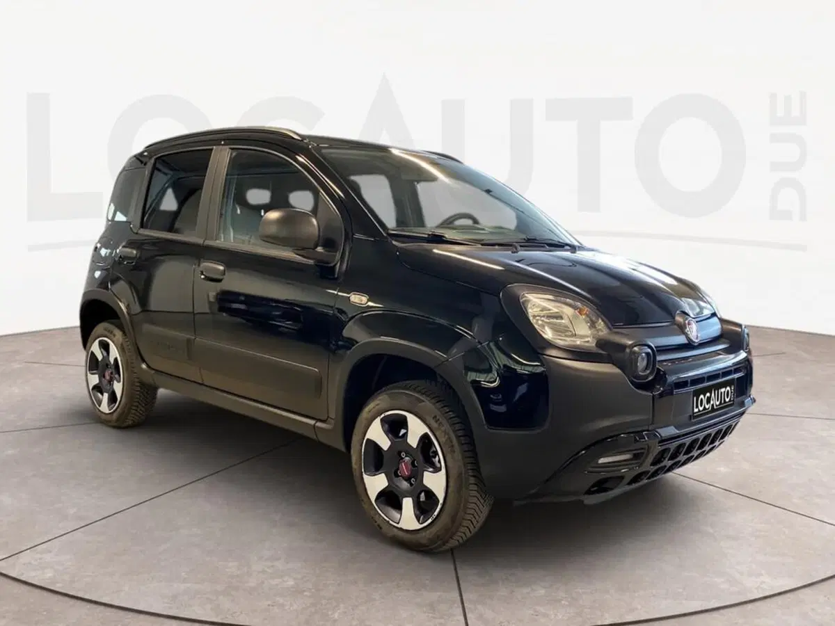 Fiat Panda usata a Torino (3)