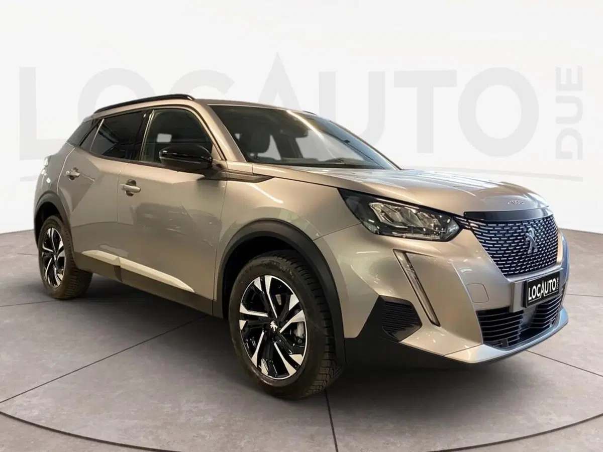 Peugeot 2008 usata a Torino (3)