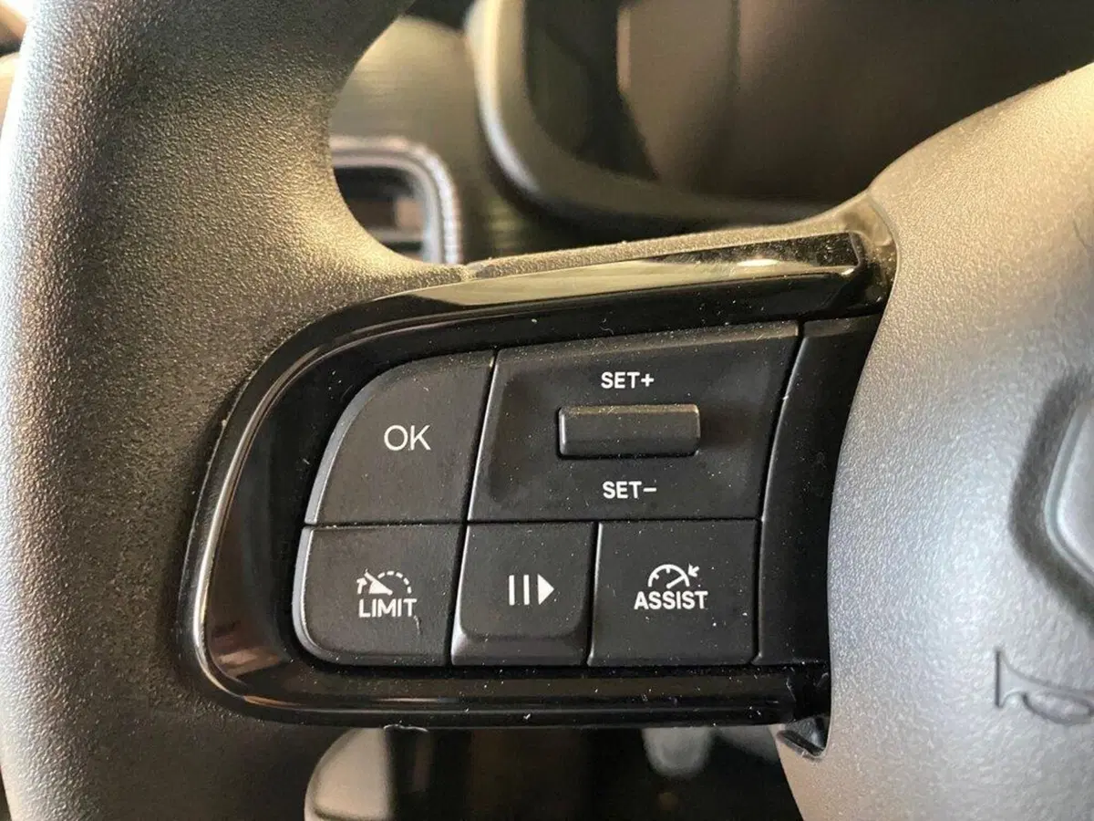 Jeep Avenger usata a Torino (14)