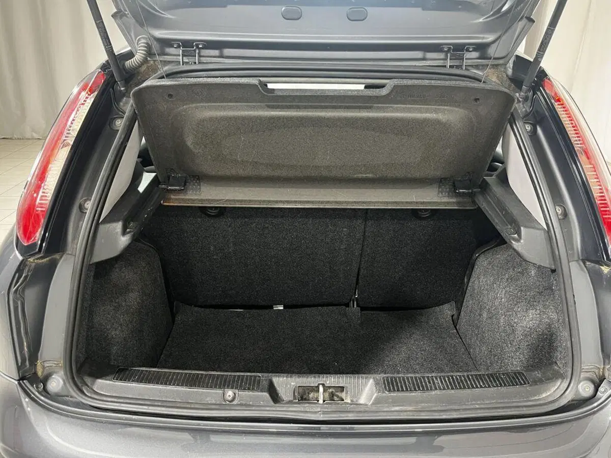 Fiat Punto usata a Sondrio (15)