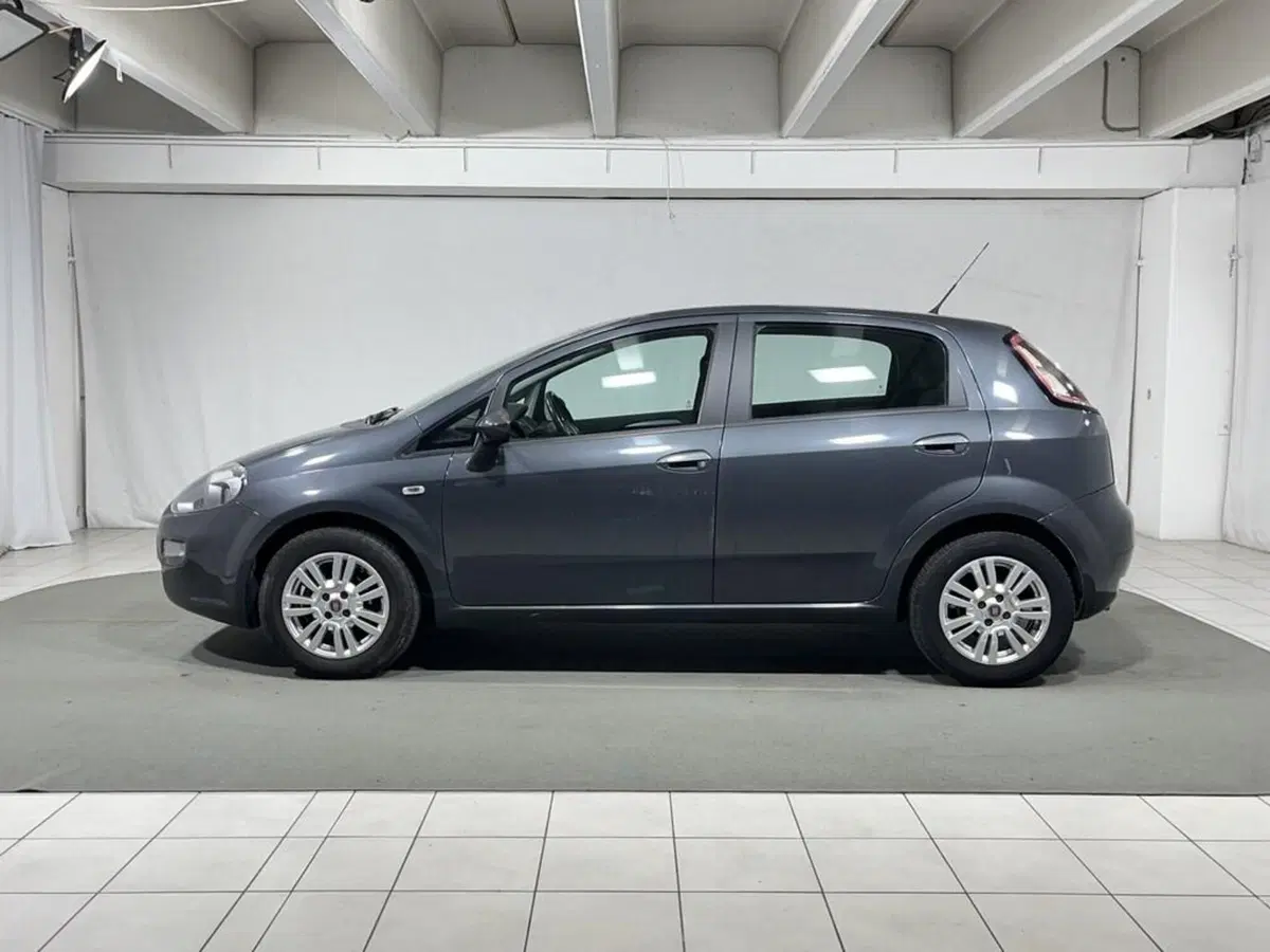 Fiat Punto usata a Sondrio (2)