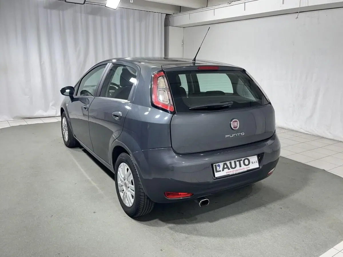 Fiat Punto usata a Sondrio (3)