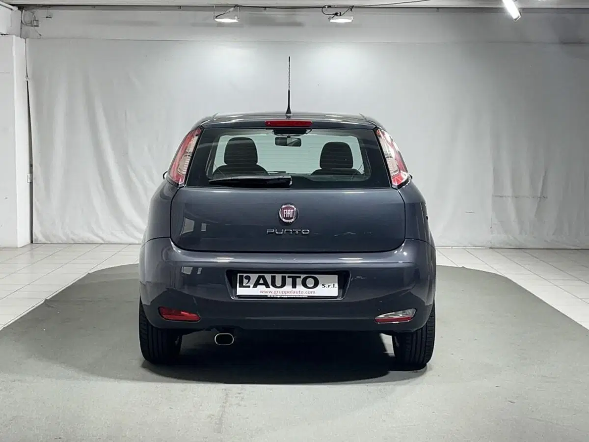 Fiat Punto usata a Sondrio (4)