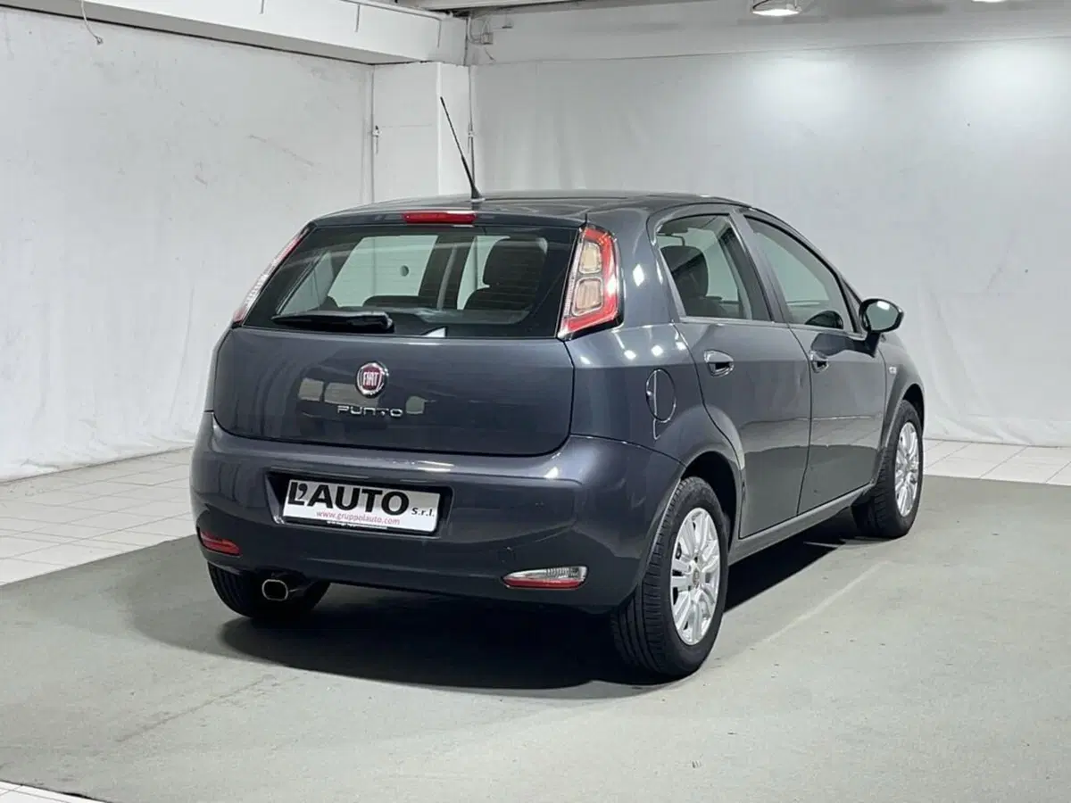 Fiat Punto usata a Sondrio (5)