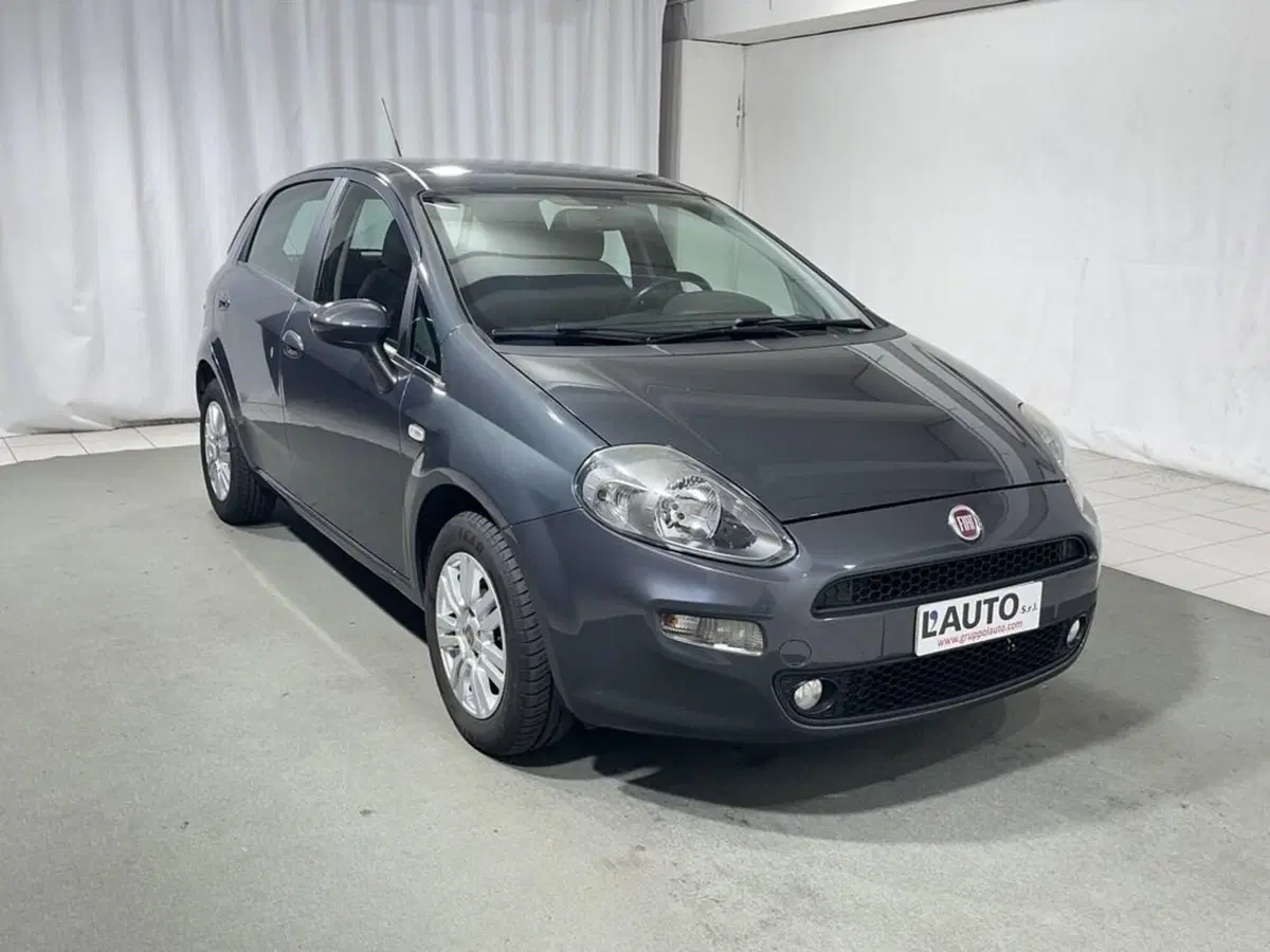 Fiat Punto usata a Sondrio (7)