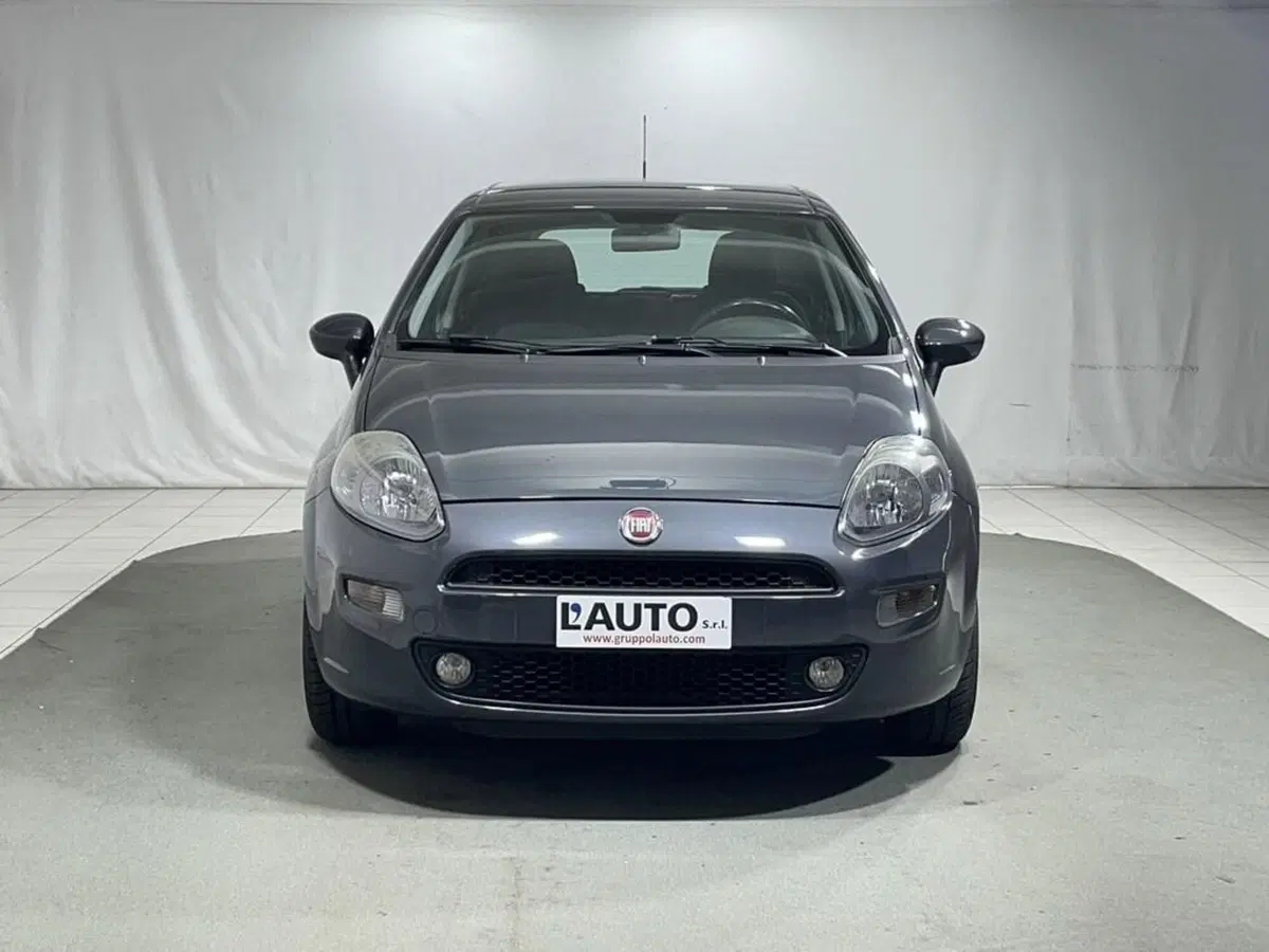 Fiat Punto usata a Sondrio (8)