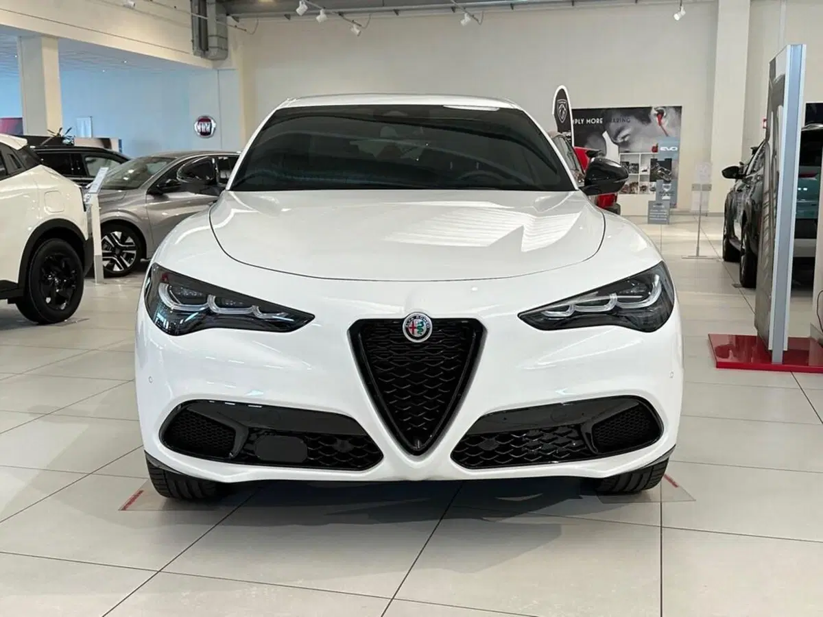 Alfa Romeo Stelvio nuova a Sondrio (8)