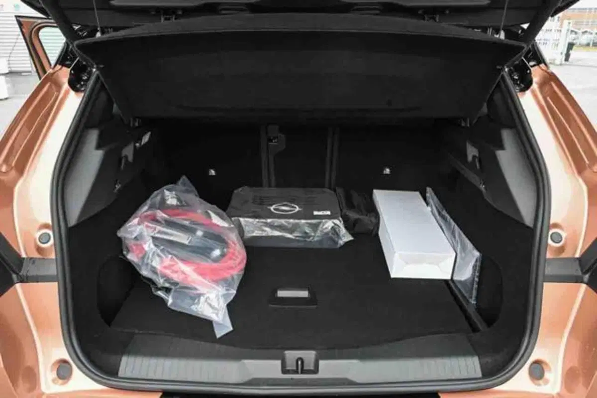 Opel Grandland nuova a Torino (5)