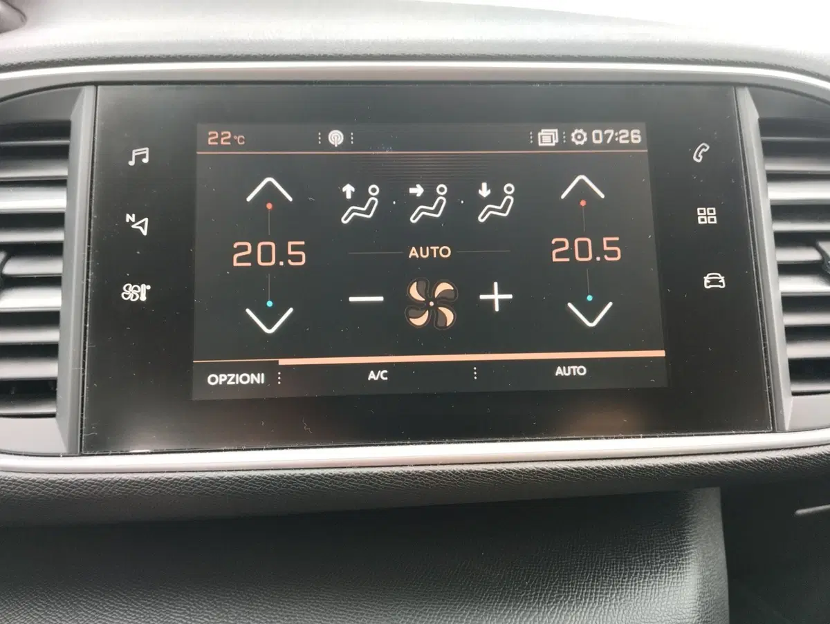 Peugeot 308 SW usata a Asti (17)
