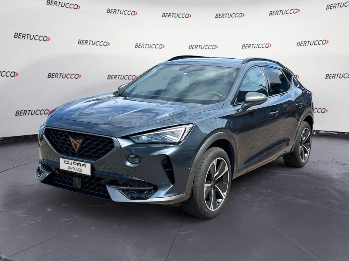 Cupra Formentor usata a Verona (2)