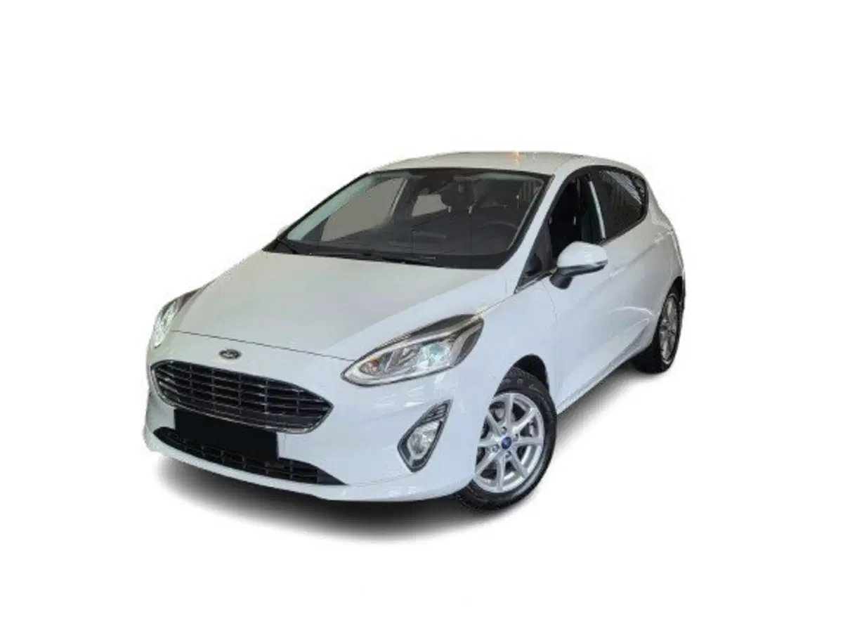 Ford Fiesta usata a Bari (13)